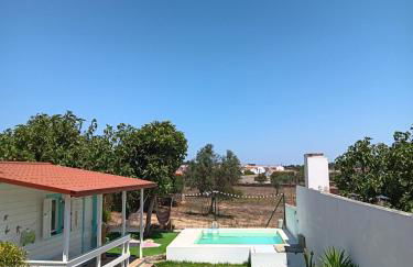 Tribo da Praia - Foto 29