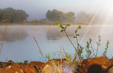 Ferienwohnung an der Elbe - Foto 8