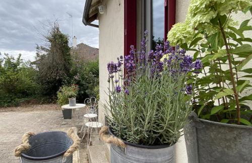 Charmante maison avec jardin en face du parc, proche commerces et attractions touristiques - FR-1-489-333 - Foto 21