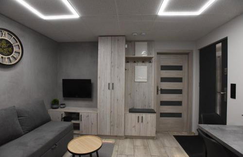 Apartament na TYLNEJ w Śremie - Foto 29