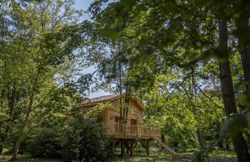 Le Monde de Charlie - Les Cabanes - Foto 17