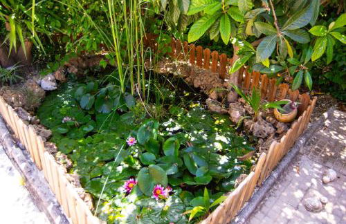 Alojamiento Rural Las Acacias - Foto 31