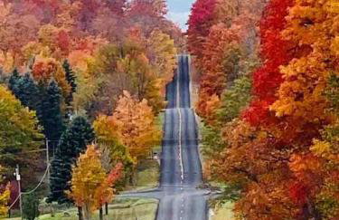 ☆Cherry Farmhouse☆60 Acres☆Central Air☆Fireplace - Foto 48