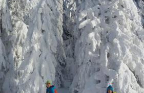 Wildnisresidenz am Nationalpark - FeWo mediterran - Photo 26