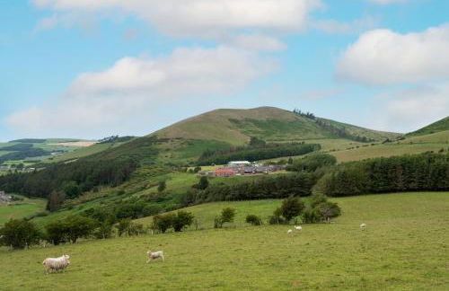 Crookhouse Bowmont - Photo 23