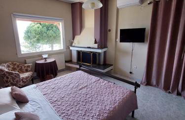 Platanidia Apartment Pelion - Foto 34