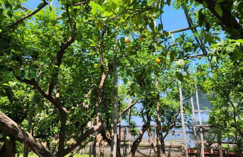 J'Adore Sorrento - Photo 30