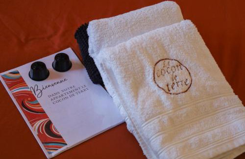 Appartement le cocon de terre - Foto 37