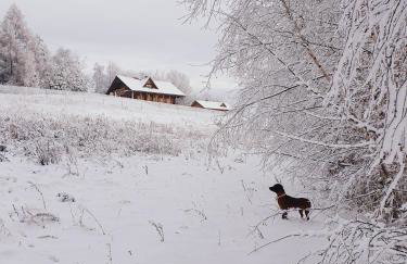 Dom na Kamieńcu - Photo 53