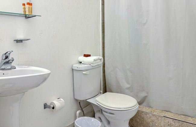 Gladiolas 1102 - Foto 11