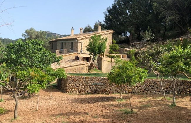 Can Pe es in Puerto de Andratx - Foto 9