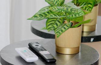 Studio 230m from the Brooklyn subway - Foto 18