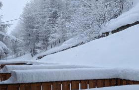 Apartments in the woods - Foto 5