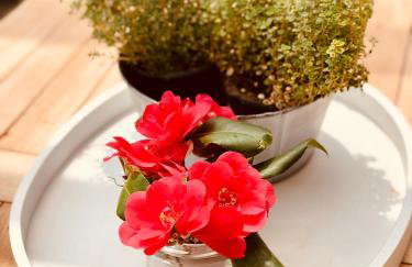 Villa 1880 - Foto 66