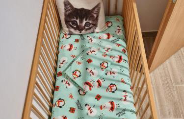 apartman Goga with pool and jacuzzi - Foto 67