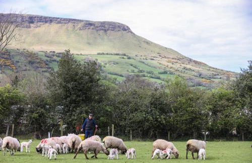 GlenHaven Holiday Accommodation - Foto 43