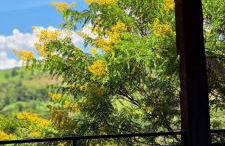 Monte Mauá Chalés - Photo 61