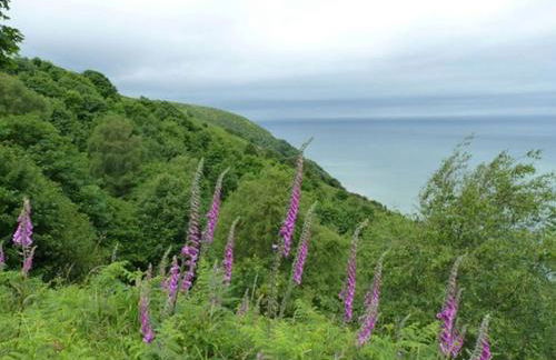 The Pack Horse Exmoor National Park Allerford Riverside Cottage & Apartments - Photo 25