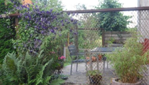 Josephine Zöller House - Foto 2, Other