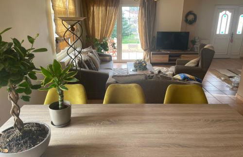 Casa Verde Trikala - Foto 6