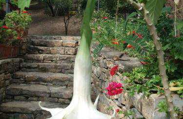 La casa del Maestro - Foto 50