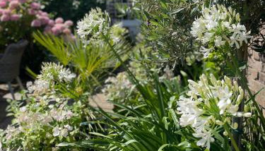 The Courtyard - Foto 3