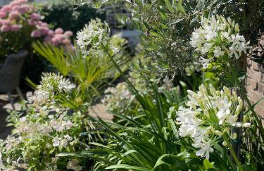 The Courtyard - Foto 3