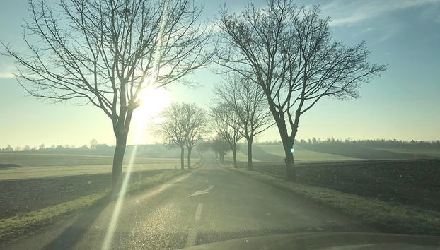 Coche de alquiler con conductor en Estrasburgo - disponibilidad 7 horas - Foto 4