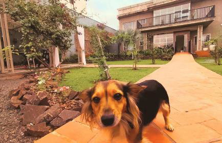 Apartamento em Foz do Iguaçu, Ravello Residencial - AP09 - Foto 29