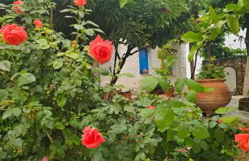 Peloponnese Hideout - White house with the sea view - Photo 69