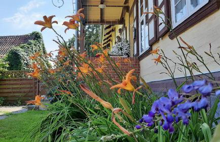 Orzechowy Dworek - Foto 10