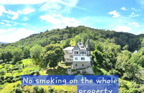 Little Rhine View Château - EG Apartment - Foto 19