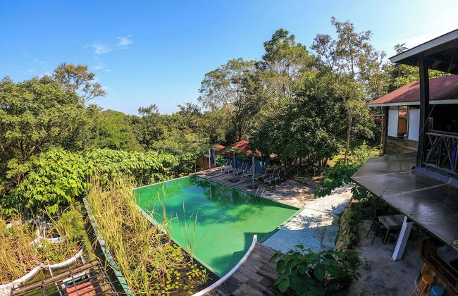 Winíka Alterra - Foto 13