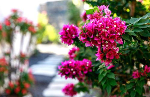 Luxus Villa mit 5 Schlafzimmern, Heated Pool, PS4, Fitnessraum - Foto 51