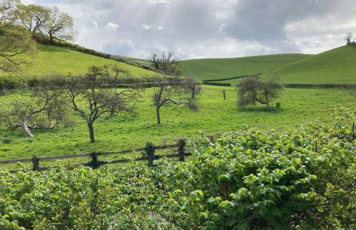 Charming Countryside Cottage Ground Floor Apartment in Combeinteignhead Devon - Foto 23
