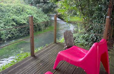 le chant de la rivière - Foto 15