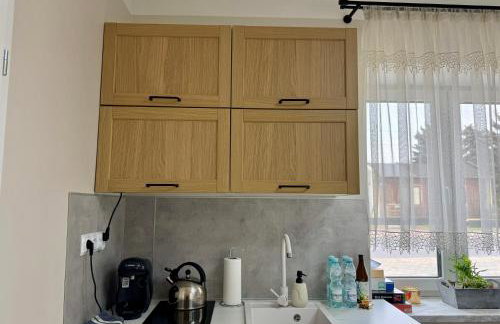 Noclegi, pokoje, kwatery "Nad Bzurą" - Foto 44