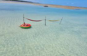 Casa Salga Patacho F003 - Rota Ecológica de São Miguel dos Milagres - Foto 13