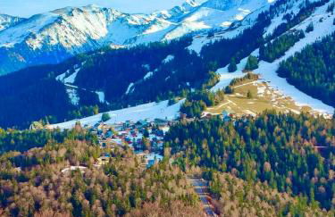 Appartement Chalet à 1400m - Station du Mourtis - Foto 30