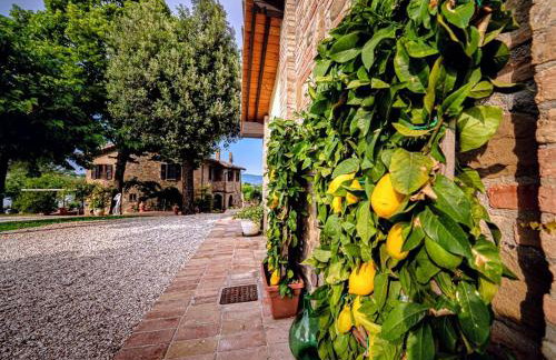 Podere Fonte Luxury Country House - Photo 36