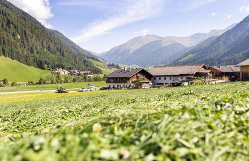 Aussermahrhof - familyfarm - Foto 47