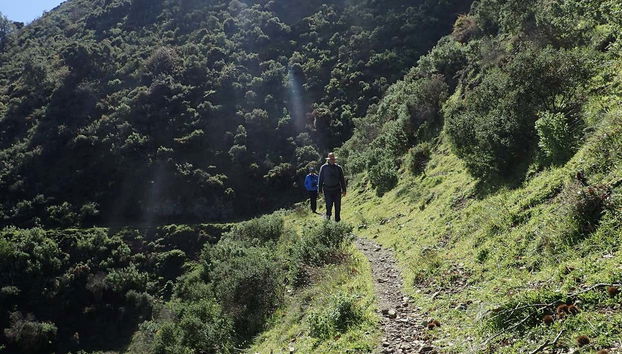 Caminhando pela Sierra de las Nieves