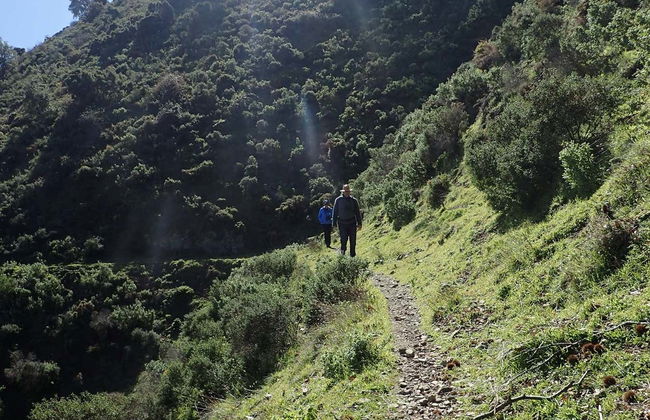 Tour en 4x4 por el Parque Nacional Sierra de las Nieves - Foto 6