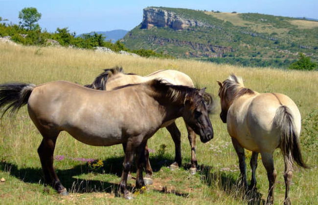 Nice Apartment in Olsberg - Foto 11