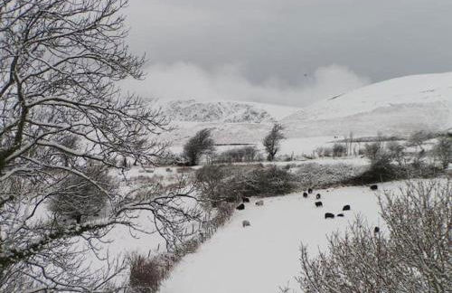 Cosy, coastal cottage- Beach, Pub and shop nearby - Foto 26