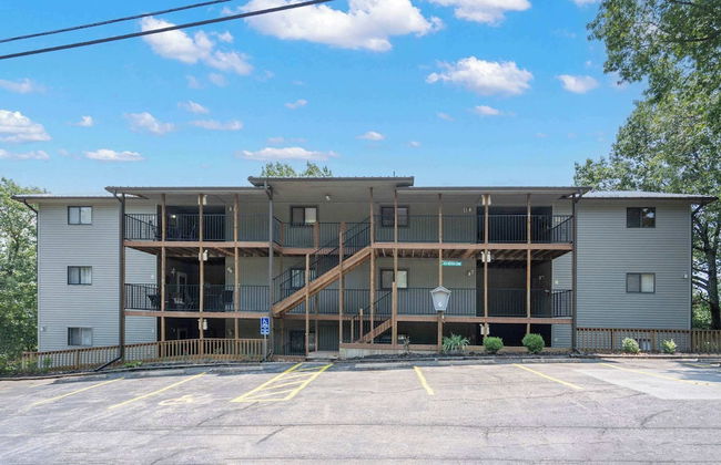 Black Bear Lodge - 1 Mile From Silver Dollar City - Photo 25