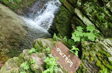 Guest house Elatochori - Foto 49