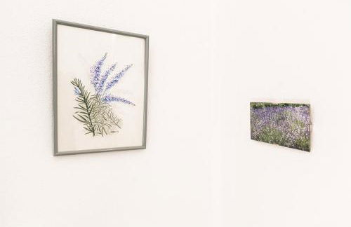 cottage lavanda e rosmarino - Foto 52