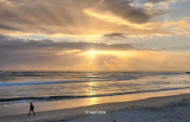 Waterfront at Sunrise Cove - Photo 80