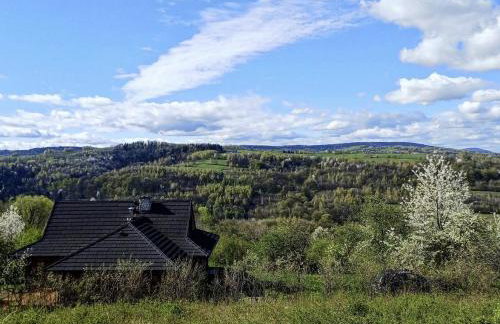 Pod lasem i niebem - Foto 1